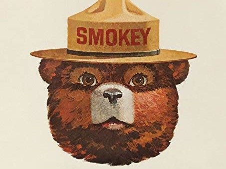 13.9 - Smokey Bear 